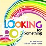 Looking for Something Cover